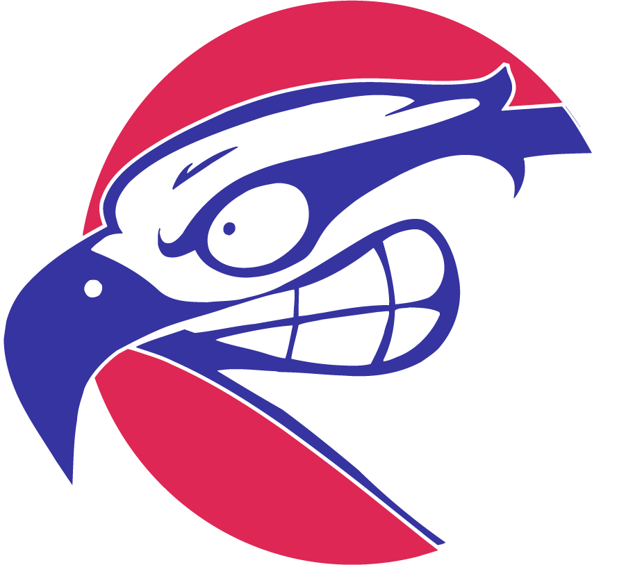UMass Lowell River Hawks 1997-2006 Secondary Logo v2 diy iron on heat transfer